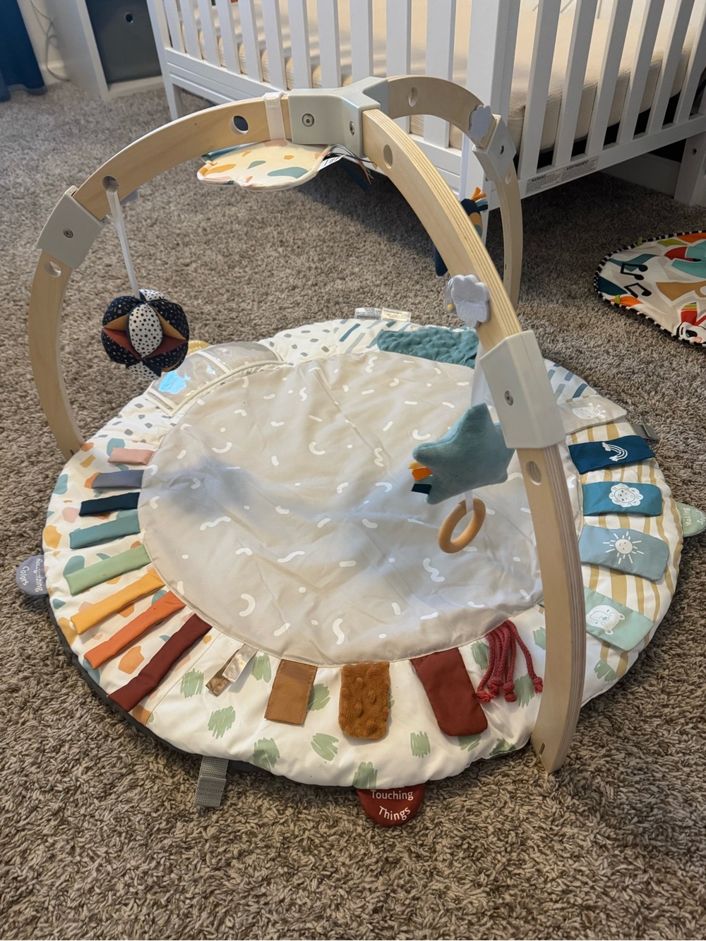 Blissful Diary Play Mat w/ Wooden Arch
